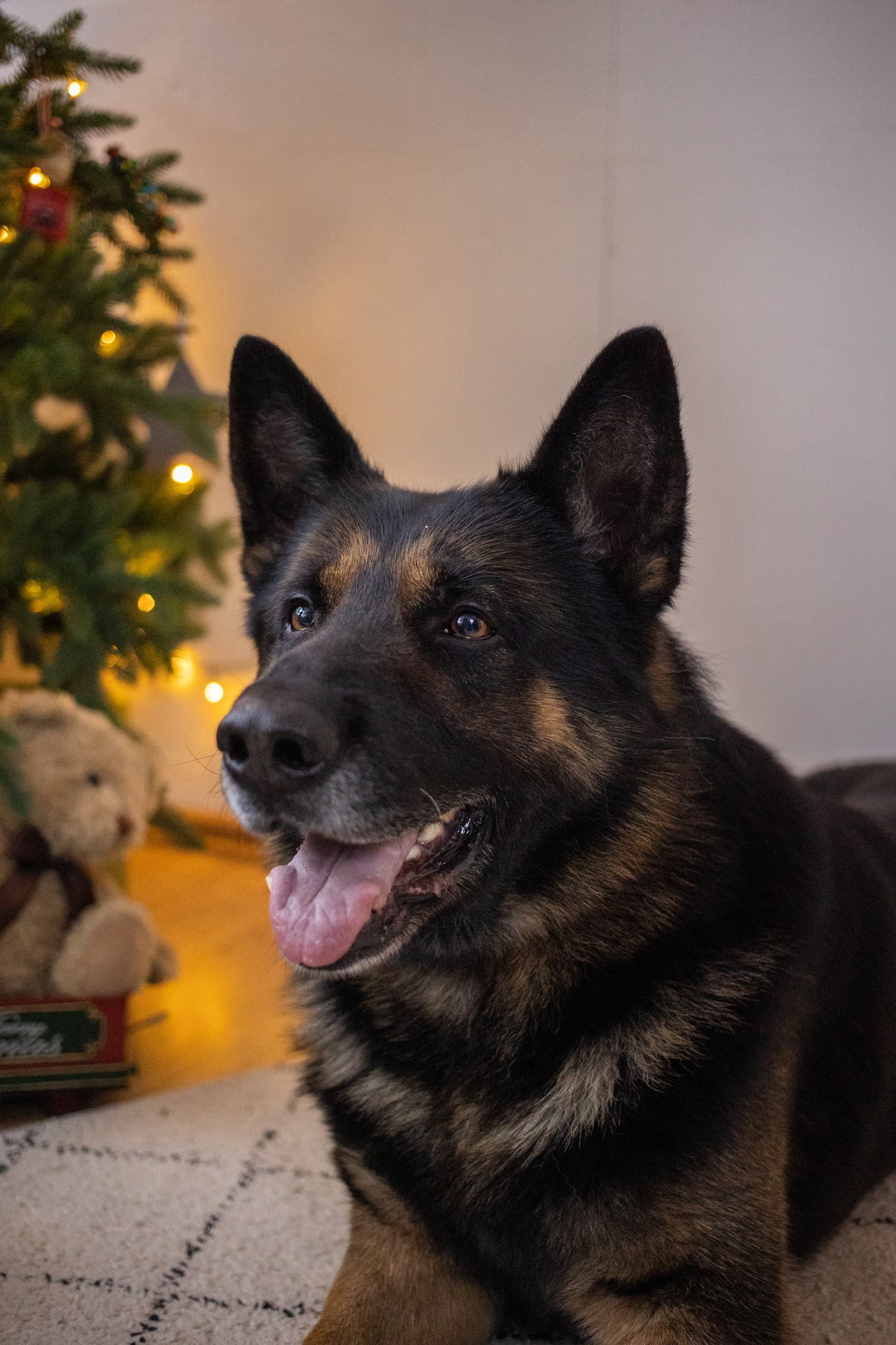 Duke Alexander von Hohenzollern