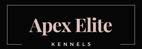 Apex Elite Kennels | "My Site"